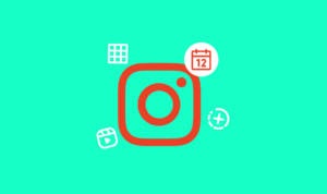 Stories, Reels, feed & explore Instagram content